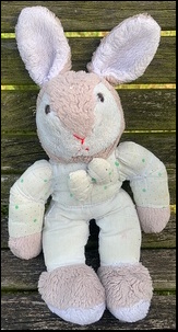 Lauren H.'s Rabbit before treatment