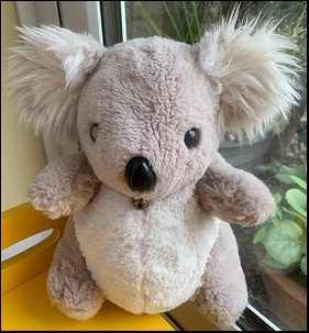 Mignon G.'s Koala after treatment