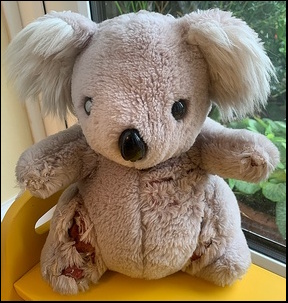 Mignon G.'s Koala before treatment
