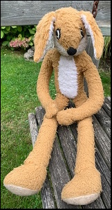 Naomi L.'s Rabbit after treatment