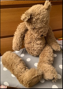Nicky T.'s Teddy before treatment