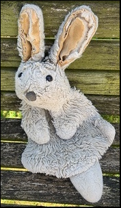 Richard C.'s Bun before treatment