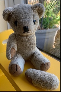 Rachael C.'s Teddy before treatment