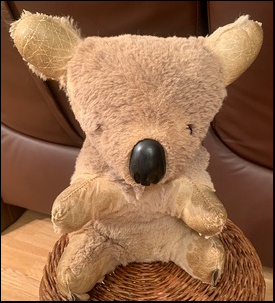 Rose W.'s Gummy after treatment