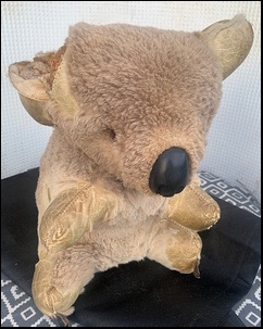 Rose W.'s Gummy before treatment