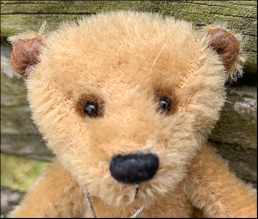 Rupert's head