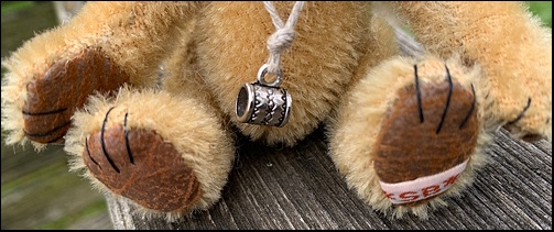 Rupert's paws with the SB label