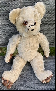 Steve C.'s Bear before treatment