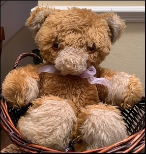 Steph D.'s Honey before treatment