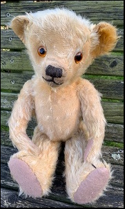 Susan G.'s Teddy after treatment
