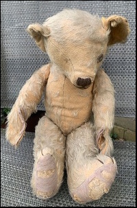 Susan G.'s Teddy before treatment