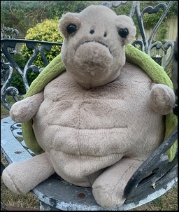 Tim C.'s daughter's favourite teddy after treatment