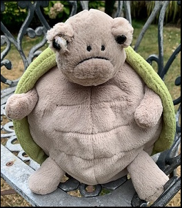 Tim C.'s daughter's favourite teddy before treatment