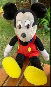 Thomas James B.'s Mickey after treatment