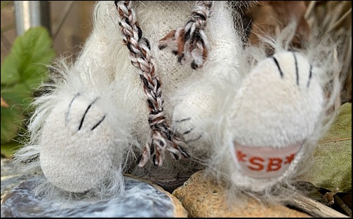 Albie's paws with the SB label