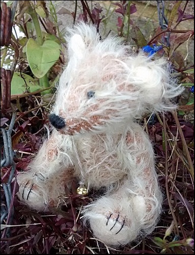 Alfie sitting in the garden