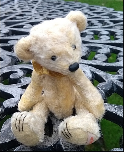 Arlo on the garden table