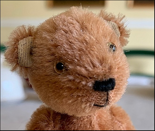 Inserting Glass Eyes onto a teddy bear 