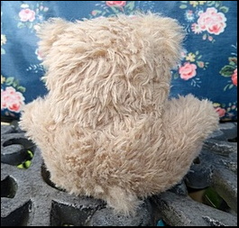 Replica Teddy - view from the back