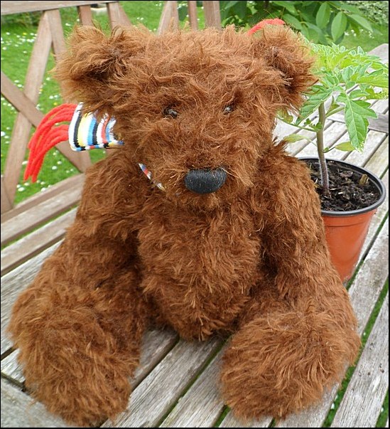 Bruce sitting on the garden table