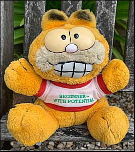 Danny S.'s Garfield after surgery