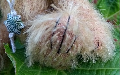 Ethan's paws (and snowflake)