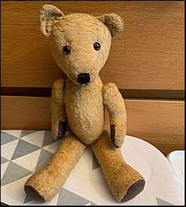 G.K.'s Ted after surgery
