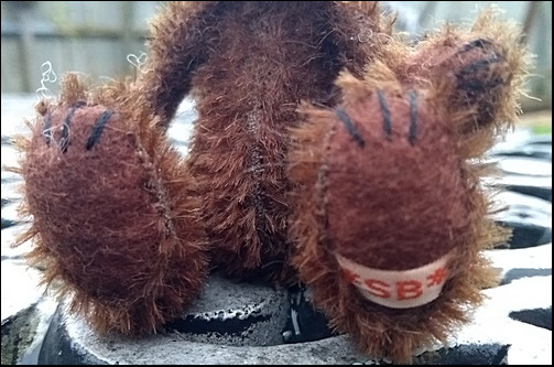 Jayden's paws with the SB label
