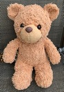 Meghan C.'s Teddy after
