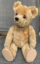 Nat F.'s Teddy after