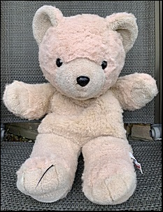 Paul M.'s Furry Ted after treatment