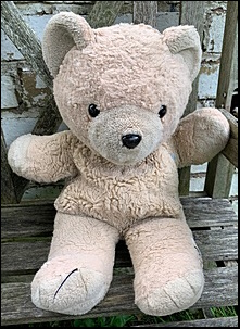 Paul M.'s Furry Ted before treatment