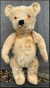 Sarah T.'s Ted after treatment