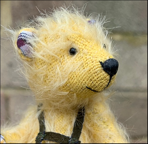 https://www.sashasbears.co.uk/Images/Theodore_face.jpg