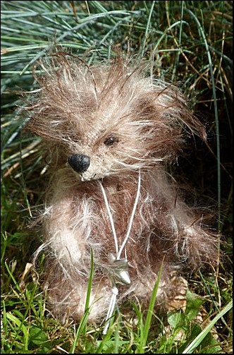 Toby exploring the undergrowth